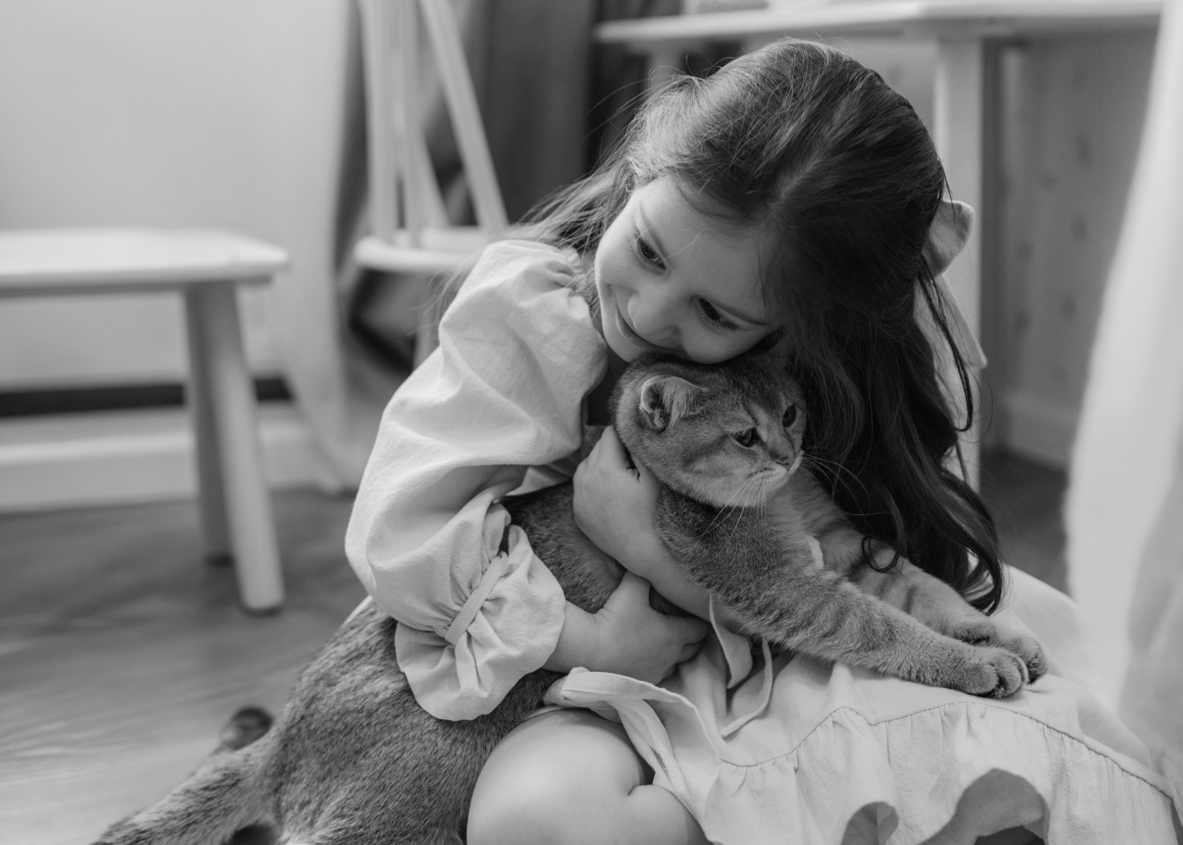 Bambina abbraccia un gatto